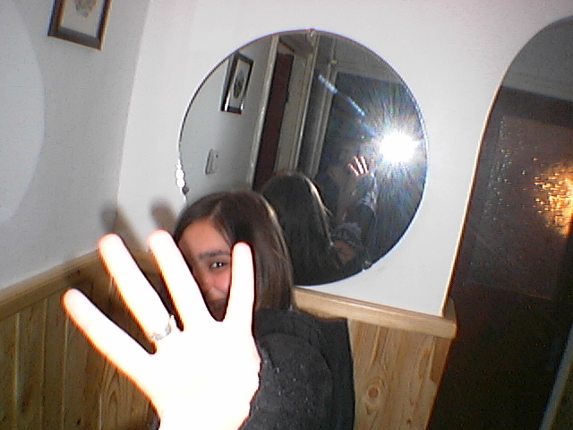Image 35 of 61  -  118 kB